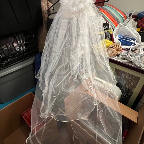 Wedding Dress with train, Petticoat, Veil - Picture 8 of 8